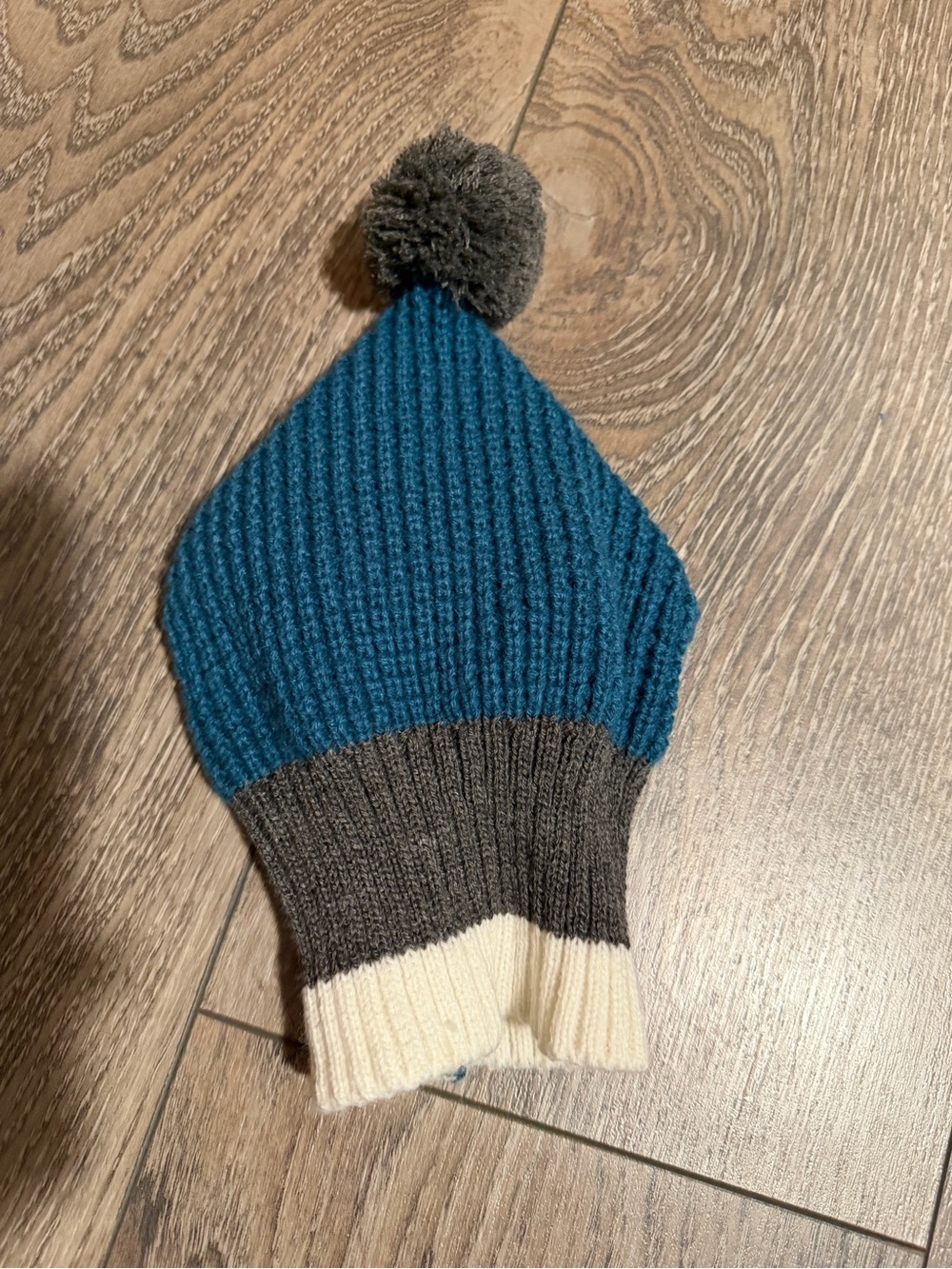 Dog hat